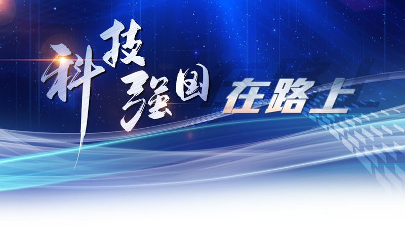 电商数据服务流程：揭秘高效数据驱动的秘密